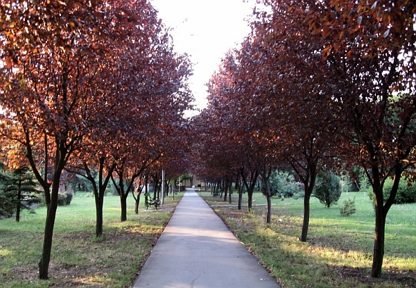 Park in Veliko Selo